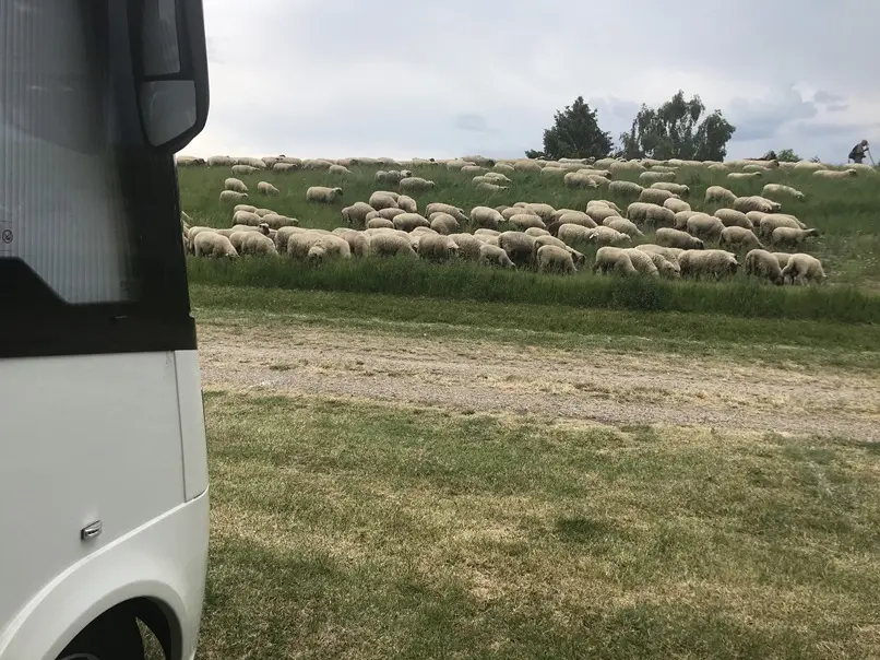 Wie nachhaltig sind Wohnmobile wirklich? Tipps für umweltfreundliches Camping, weniger CO₂, sparsames Reisen und nachhaltigen Wohnmobilurlaub.
